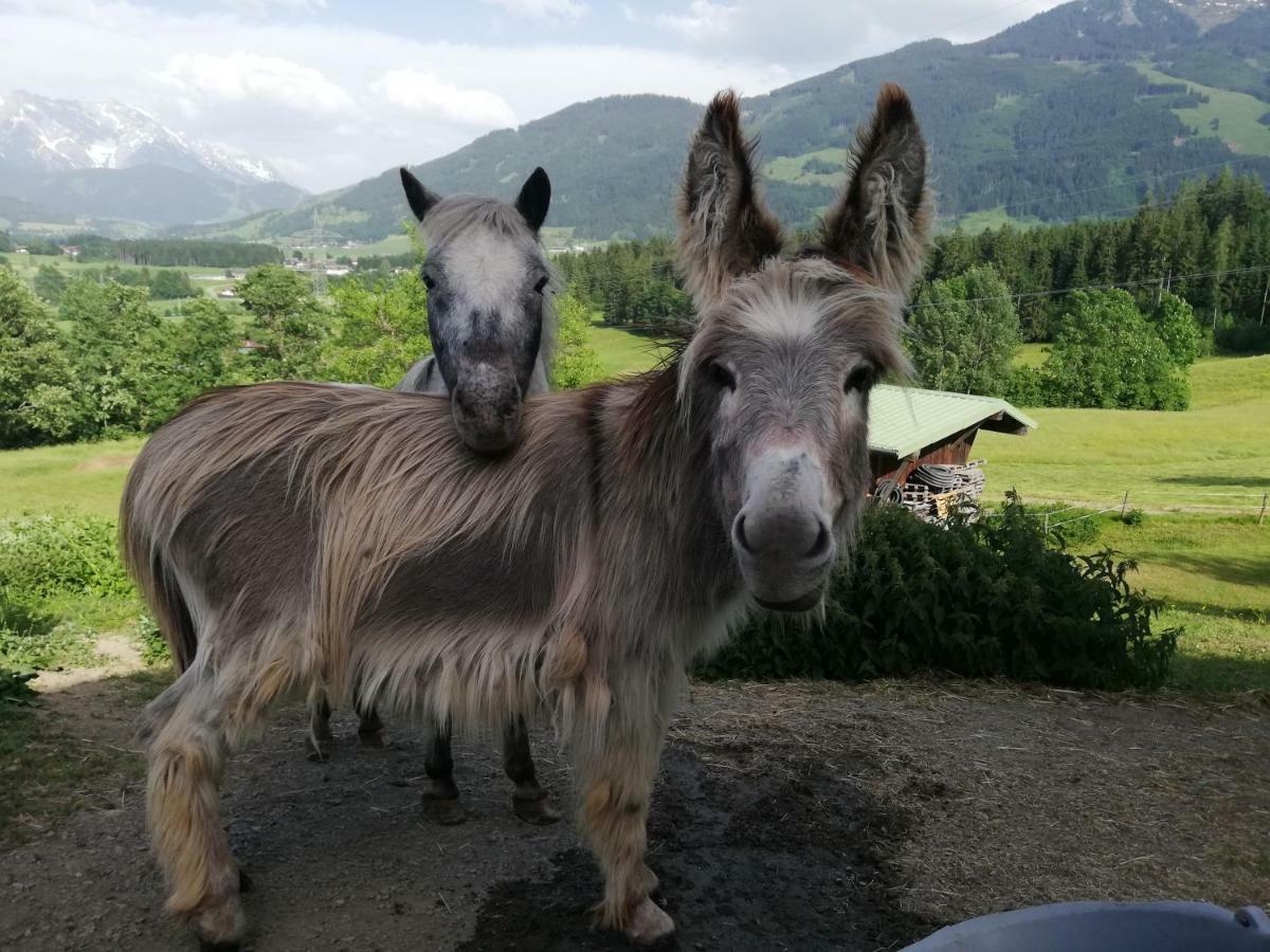 Hotel Oberstockinghof Saalfelden Zewnętrze zdjęcie