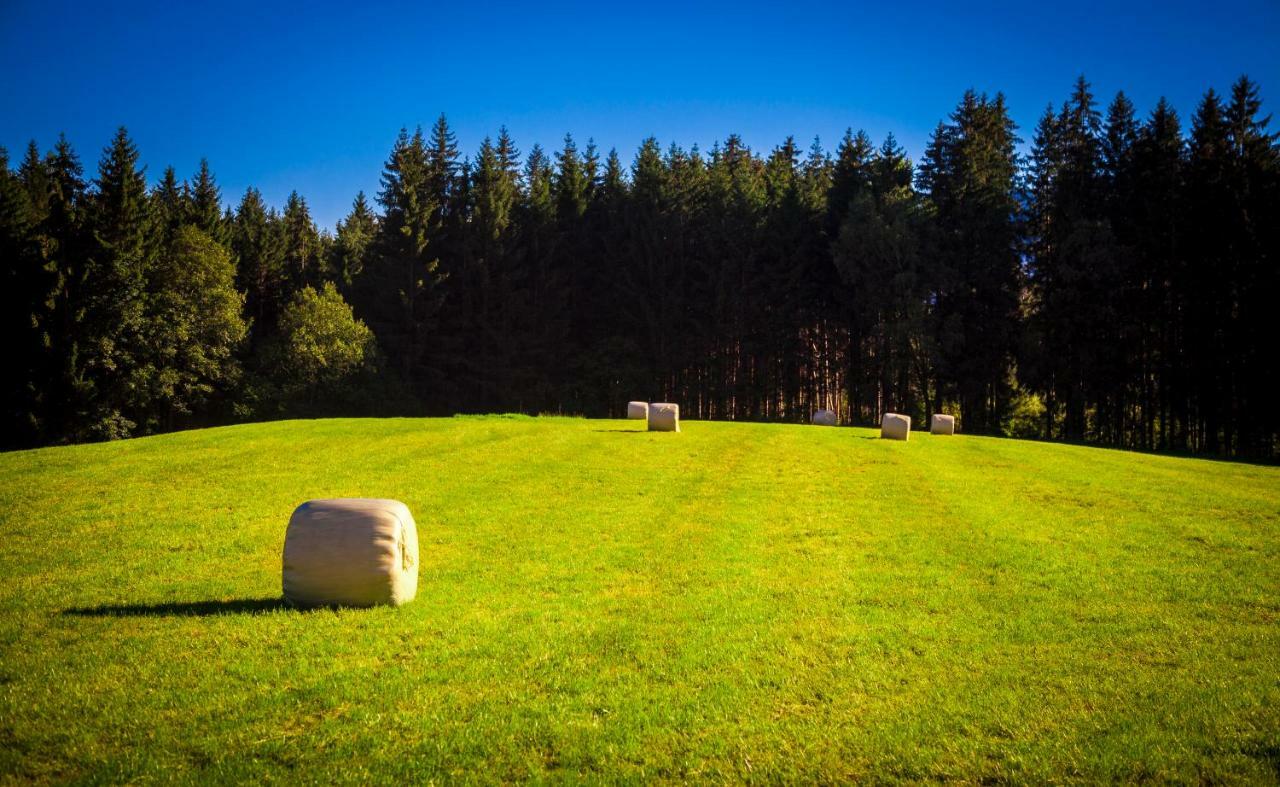Hotel Oberstockinghof Saalfelden Zewnętrze zdjęcie