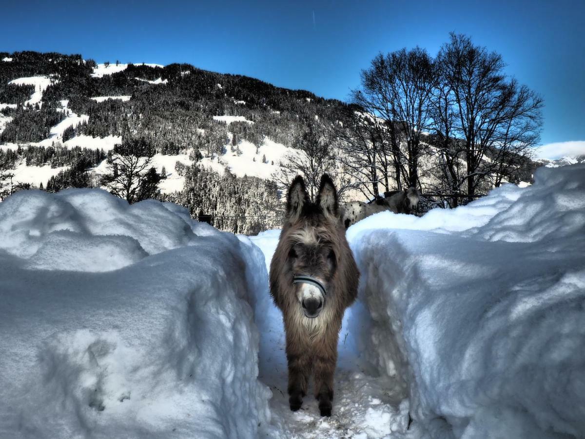 Hotel Oberstockinghof Saalfelden Zewnętrze zdjęcie